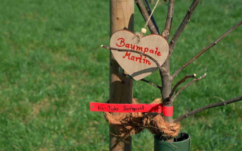 Gift economy in action: fruit tree project
